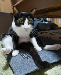 時々、こんな座り方をする