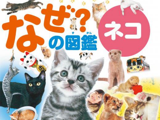子猫から、招き猫まで　猫の不思議や「なぜ？」に答える図鑑