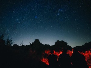 子どもの頃に思い描いた「働く人」には、まだなれそうにないけれど