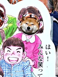 顔はめパネルを試したらーー渋いお顔になったちびこちゃん（画像提供：柴犬ちびこさん）