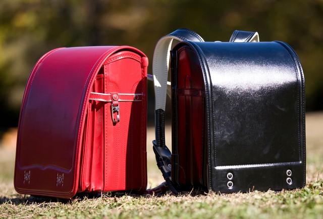 縦置きの場合は、錠前の金具部分が平らになるように置きましょう※画像はイメージです（Paylessimages/stock.adobe.com）