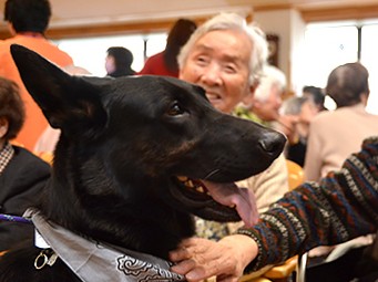 セラピー犬と舞妓さんたち、介護の現場に笑顔お届け