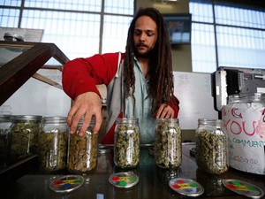 「マリファナソムリエ」もいる　ロサンゼルスに生まれた大麻レストラン