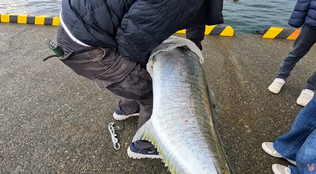 持ち上げるのも一苦労／すーちゃんねるさん（@Mt00l2SvdOnX5rT）提供