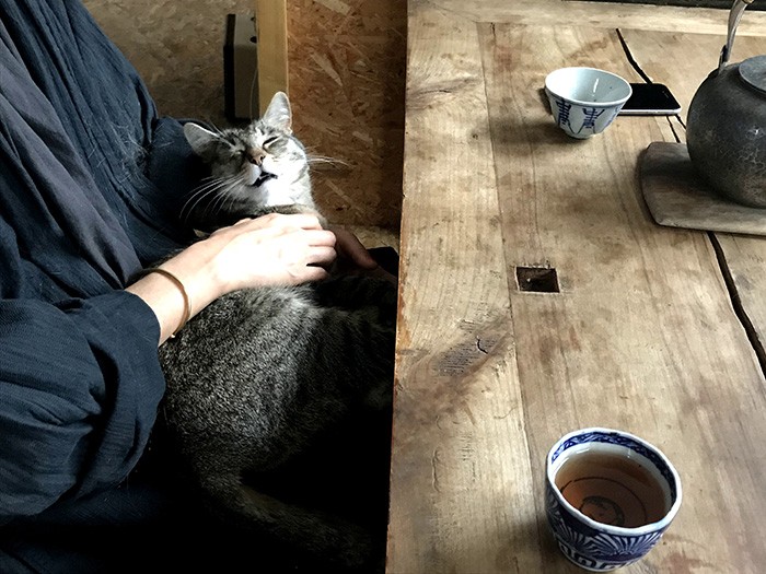 いい感じ。そのまま〜