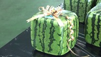 四角スイカ　善通寺市の特産品