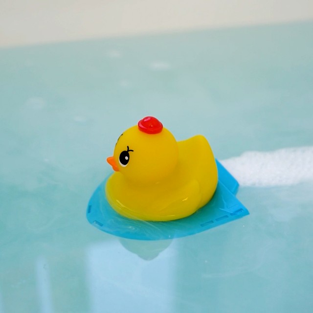 アヒルを眺めて頭をからっぽに…