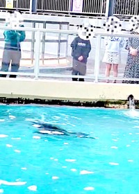 くるりと旋回して前へ進むコエルちゃん（画像提供：Suunoさん）