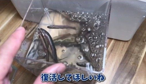 エアレーションを入れてみた（「エマスちゃんねる  EMAS CHANNEL」さん提供、Instagramよりキャプチャ撮影）※画像はトリミングしています