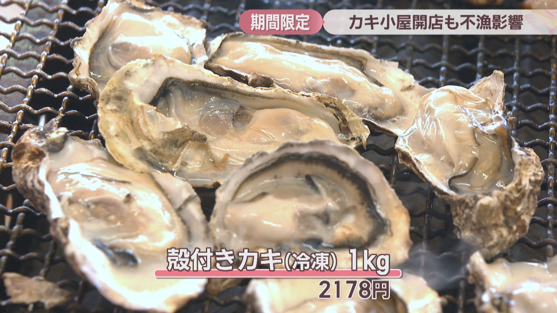 県内配達致します！牡蠣を焼くにもOK！商売繁盛間違えなし。 8cc23b42f9902c80d9a0321396cd3d