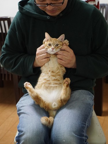 久しぶりに会ったねこかつの梅田さんと「捨てられてこわかったね、こんなに幸せになってよかった」