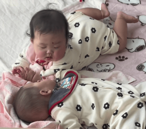 じゅっちゃんが寝ちゃって暇そうなもーちゃん（提供：@kipo6416さん）