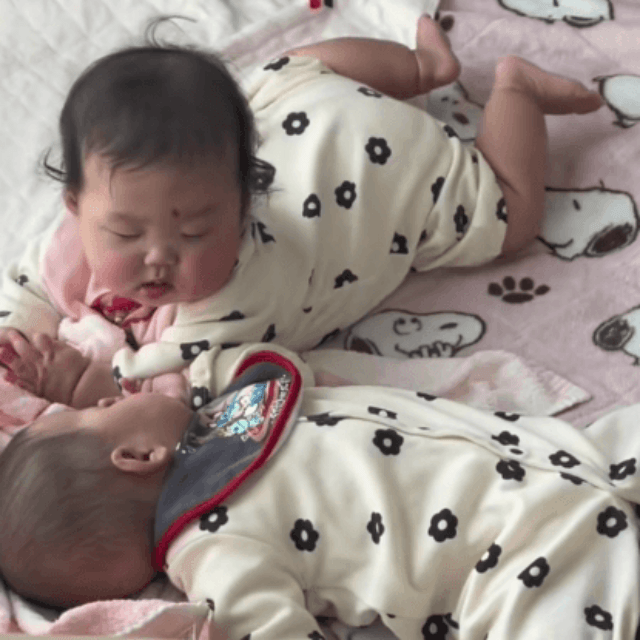 じゅっちゃんが寝ちゃって暇そうなもーちゃん（提供：@kipo6416さん）