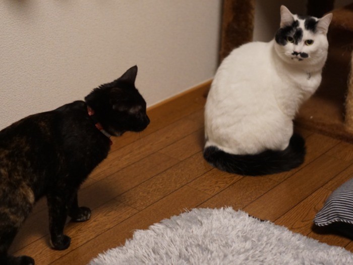 つかず離れずいい関係