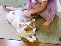 娘さんの診察を受けるむぎくん。「棒」って背骨のこと？（画像提供：むぎさん）