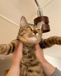 お迎えして、まだびびっていた頃