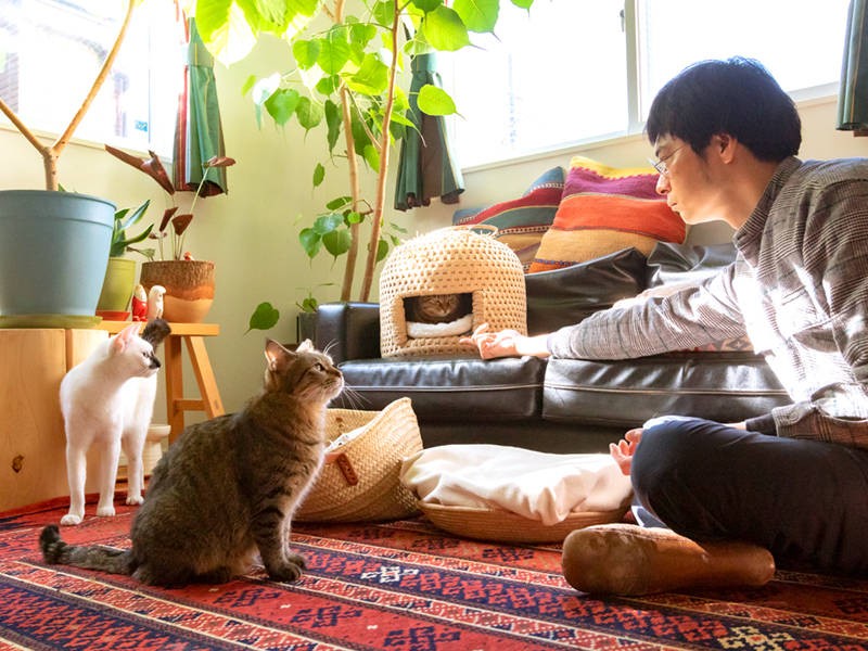 そんな時は奥の手を