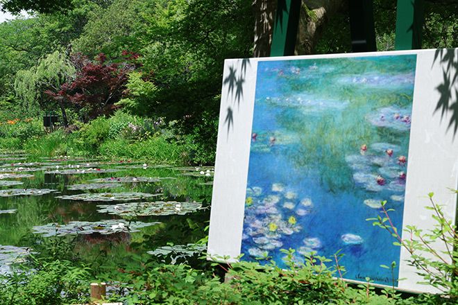 Monet's Garden in Japan looking more like one of his masterpieces