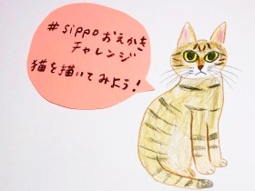 sippoおえかきチャレンジ　猫を描いてみよう
