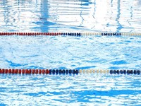 ホースで水をかけあった。無意味なことに全力になれたあの夏