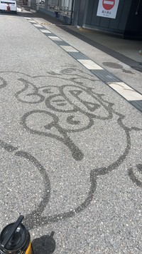 一瞬で神戸が好きになりそう（スカイマーク提供）