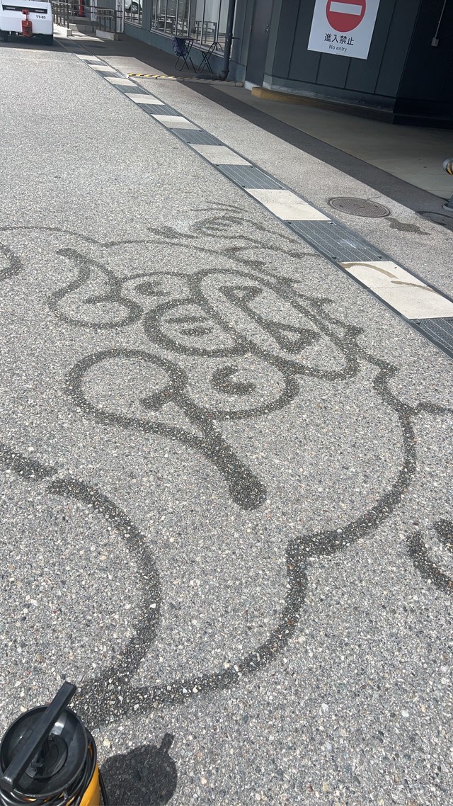 一瞬で神戸が好きになりそう（スカイマーク提供）