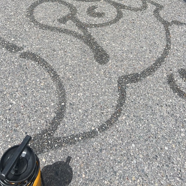 一瞬で神戸が好きになりそう（スカイマーク提供）