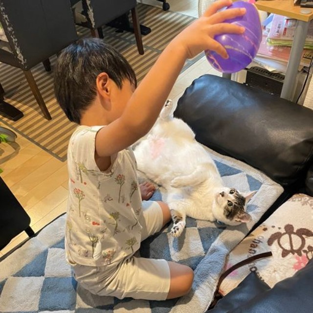 約束通りヨーヨーを買って帰ってきたよ（提供：ゴンゾウR4さん）