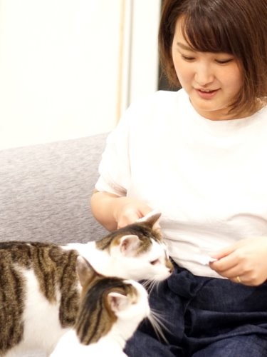 「キャッツの歌が距離を縮めてくれたのよね」
「そうそう」「猫を敬わないとダメなのさ」