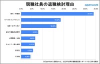 現職社員が考える「退職検討理由」（提供画像）