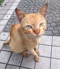 岡田さんが初めてテオくんに会ったとき、なぜか気になり撮った写真