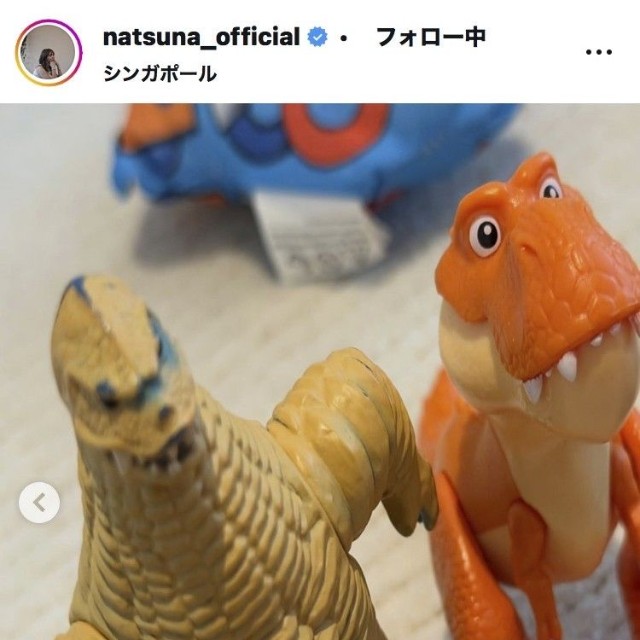 夏菜のインスタグラム＠natsuna_officialより