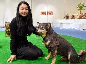 動き出しそうな動物の木彫りが集合　触って楽しめる展覧会
