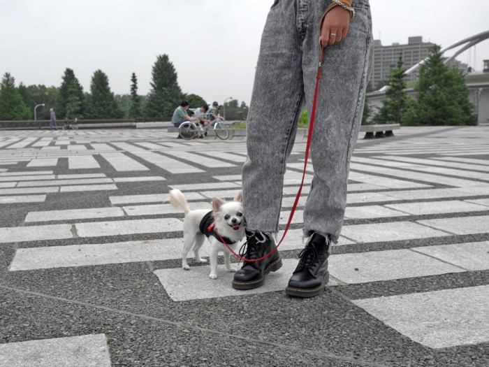 さぁ、ティーダちゃん撮影だよ
