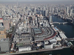 築地市場にいる野良猫の保護施設、中央区が建設へ　３０匹を収容