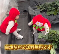 送料無料、大人気ないちごちゃん♡（提供：＠can_twins_さん）
