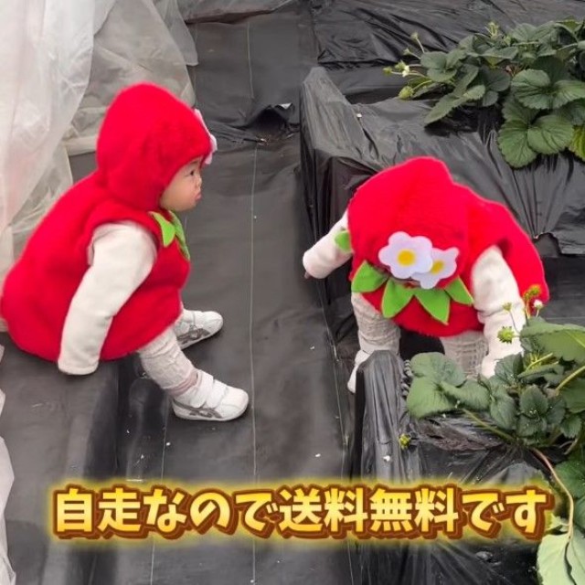 送料無料、大人気ないちごちゃん♡（提供：＠can_twins_さん）
