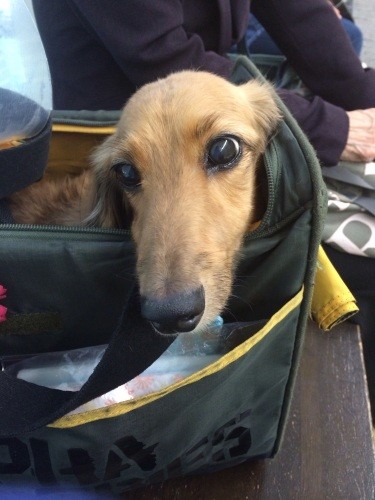 大学病院の待合室にて（山中さん提供）