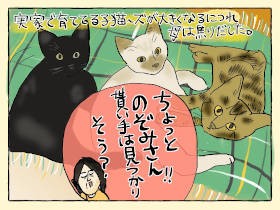 保護した子猫～ズ　無事全匹卒業に“うれしさびしい”母ゴコロ