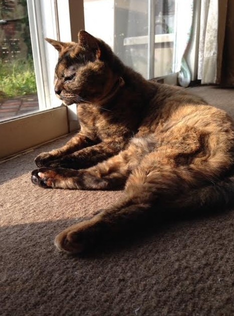 すべての写真が大切な宝物