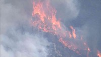 山火事の現場　24日午後4時半ごろ