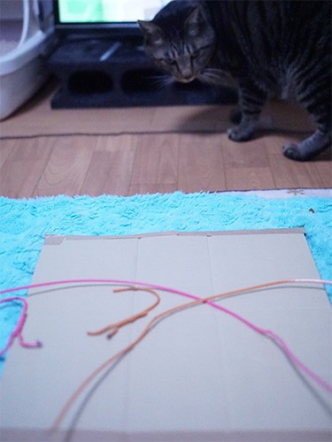 「ドラマに夢中で手が止まってるぞ」