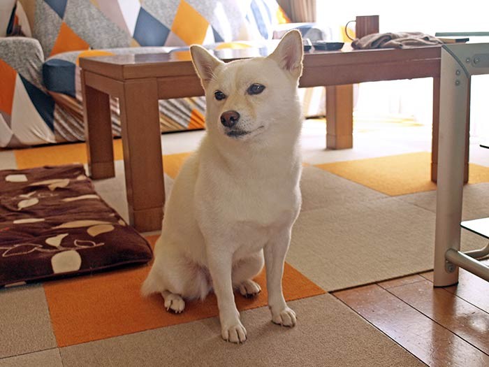 フレンドリーなルーはカメラを向けるとポーズ