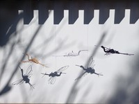 コラボオーナメント「Bird」