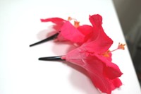 花とピンをホットボンドで接着したお手製の髪飾り