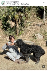 藤崎奈々子インスタグラム＠nanakofujisakiより