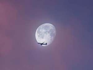 今回のコロナ禍で「推しは会える時に会え！」が真理なのだと悟った