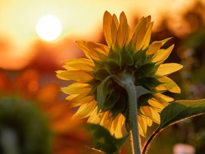 最愛の人に嫌われても私は生きてる。ならこの先誰に嫌われても大丈夫