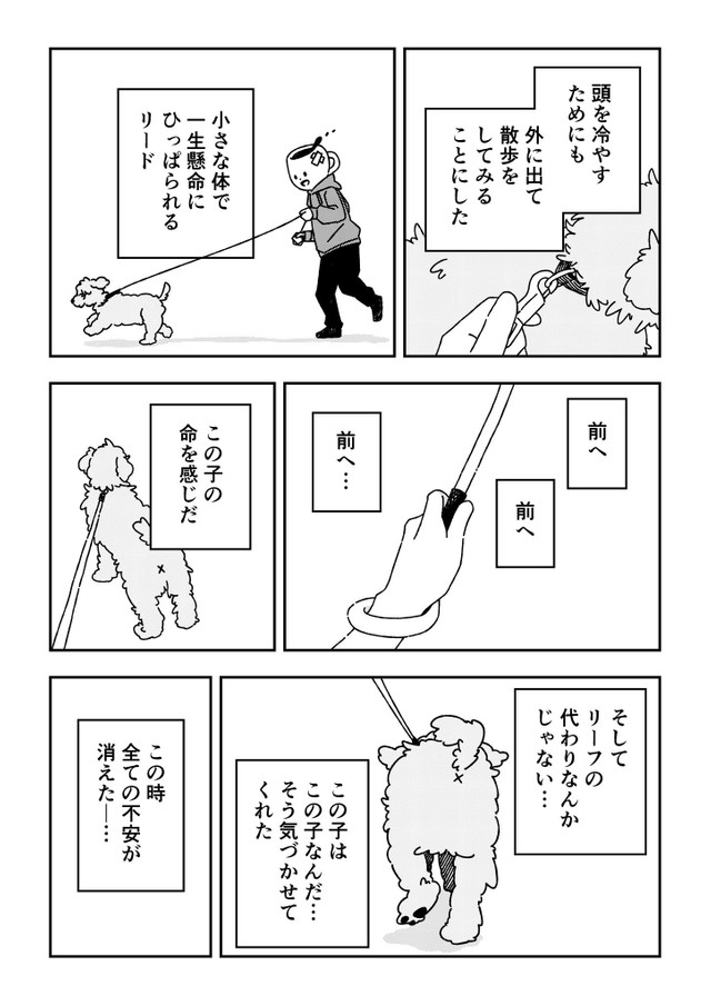 ペットロスを経て新しい家族を迎えた時の話（アキサワリョウタさん提供）