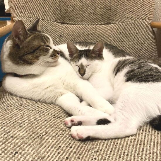 とにかく仲良し（真美さん提供）